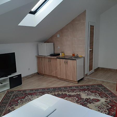 Aleksandrija Apartment Nis Bagian luar foto